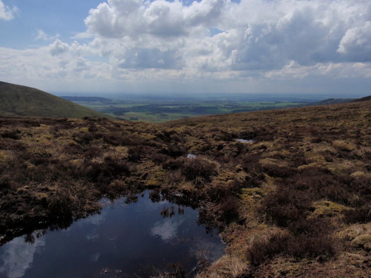 Peatland restoration in Bowland Peatland restoration in Bowland
