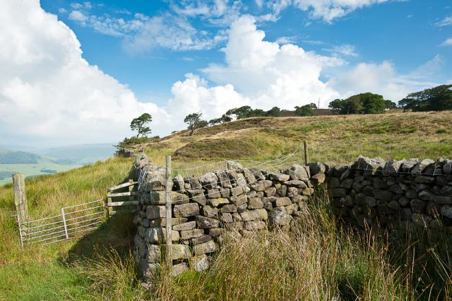 Image credit Graham Cooper Image credit Graham Cooper