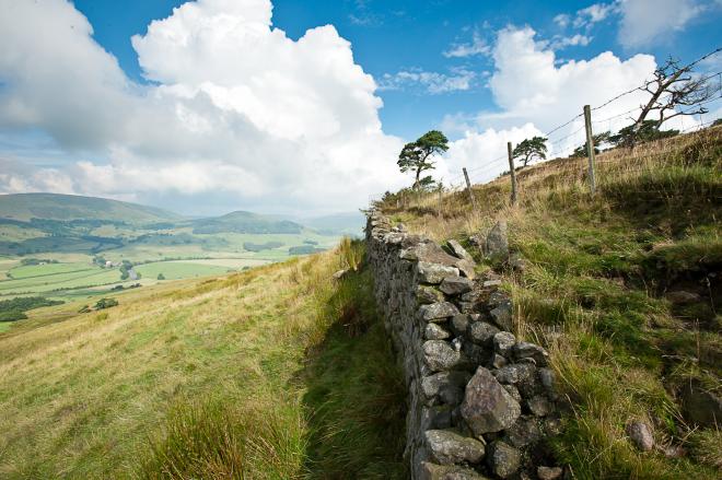 Image credit Graham Cooper Image credit Graham Cooper