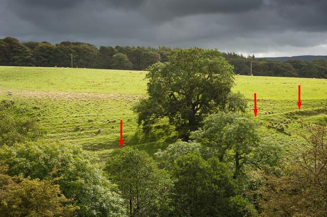 Image Credit Graham Cooper Image Credit Graham Cooper